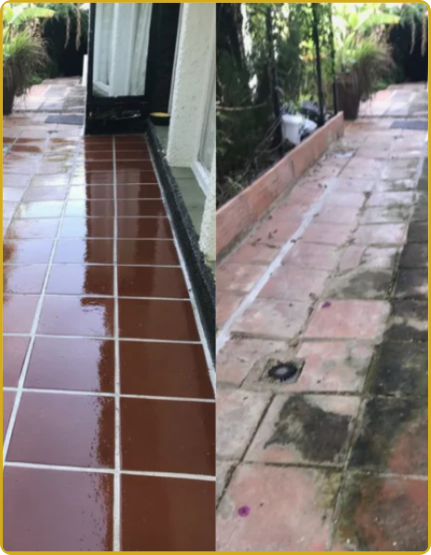 Cera Restauradora Pinton + Manual de instrucciones