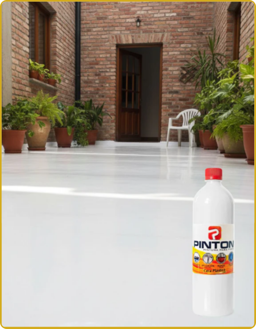 Cera Restauradora Pinton + Manual de instrucciones